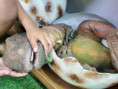 /album/fotogaleria-brazilie-zajezd-vy-a-my/brazilia-zajazd-00-75-jpg1/